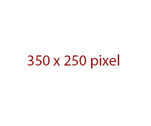 300 x 250 pixel